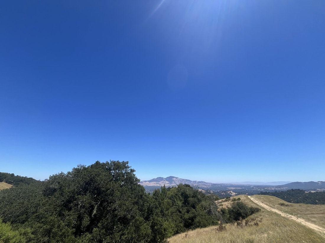 Oak and bay woodland meeting open golden grazing hills, with Mount Diablo on the horizon